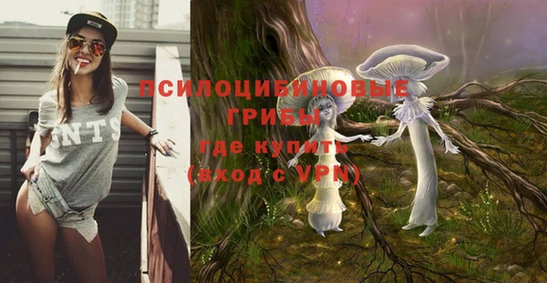 ALPHA PVP Армянск