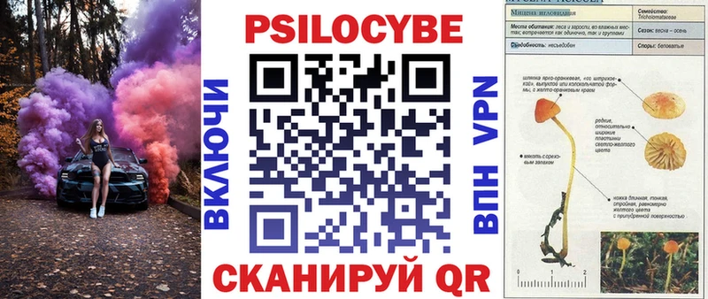 Галлюциногенные грибы MAGIC MUSHROOMS  Тырныауз 